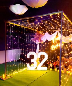 Pampas Luminary Birthday Decoration for Terrace