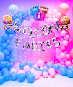 Double Delights: Welcome Baby Twins Decor