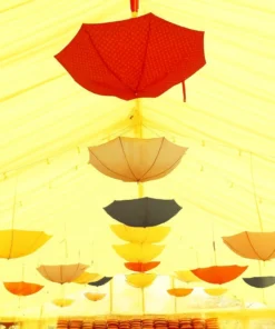 A Splash of Color for Your Festive Venue