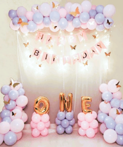 Butterfly Blush ONE First Birthday Decoration