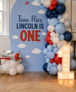 Sky Adventure Airplane Birthday Decoration - Image 2