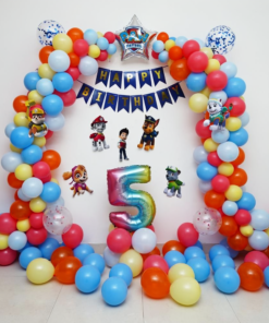 PAW Patrol Adventure Birthday Decor