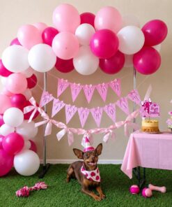 Pink & White Woof Birthday Decor - Image 4