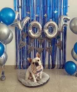 Woof & Pawty Dog Birthday Decor - Image 3
